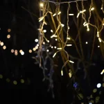 Twinkling yellow lights hang from branches at night.
