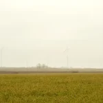 Wind turbines in a hazy field under a pale sky.