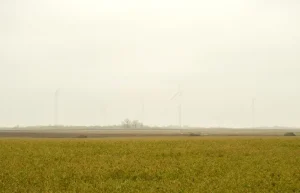 Wiatraki energetyczne: Jak działają? Poradnik [2026]