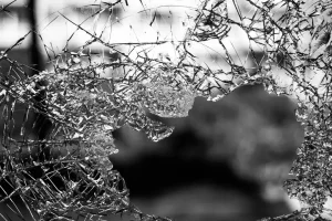A close-up view of a shattered car windshield glass being prepared for professional disposal and recycling.