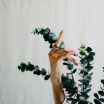 Co to znaczy eco-friendly? Definicja i praktyczne przykłady