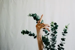 Co to znaczy eco-friendly? Definicja i praktyczne przykłady