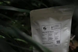 Co to jest EU Ecolabel? Definicja i znaczenie europejskiego certyfikatu
