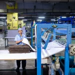 Jak powstaje papier toaletowy? Proces produkcji od A do Z