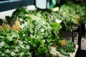 Close-up of fresh green arugula leaves being washed and prepared for a healthy salad.