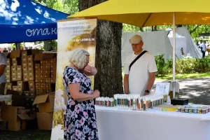 Selection of natural and organic skincare products with botanical ingredients in aesthetic packaging.