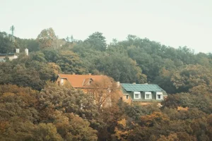 On-grid vs off-grid: Która instalacja fotowoltaiczna jest lepsza w 2024 roku?